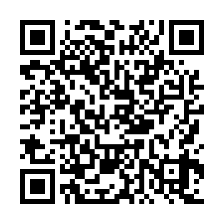 QR code for TDX539