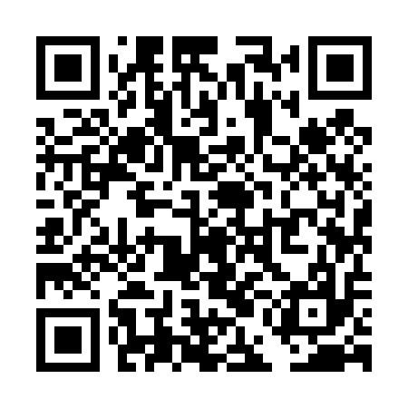 QR code for TEI417