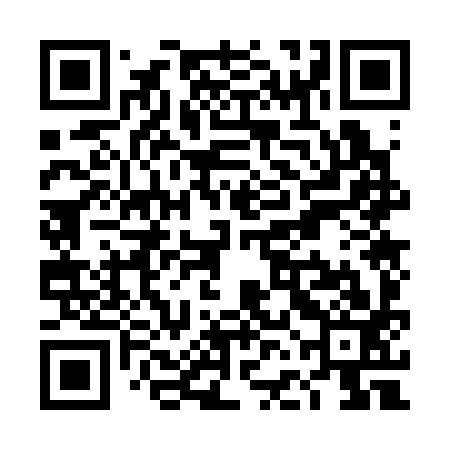 QR code for TFO393