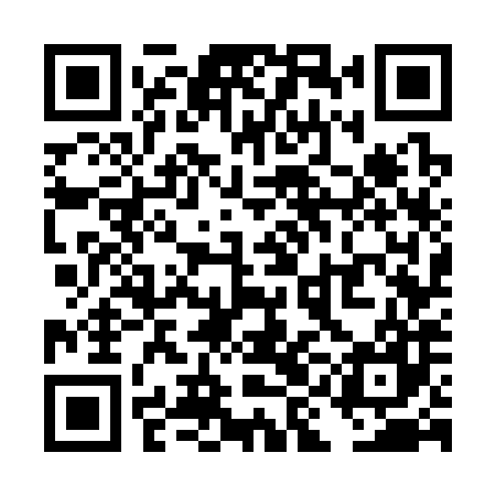 QR code for TIG387
