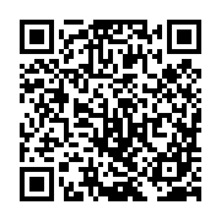 QR code for TIZ487