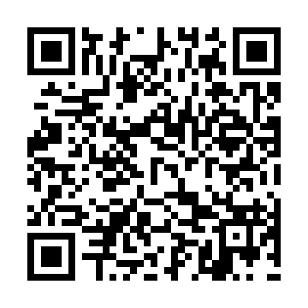 QR code for TML393