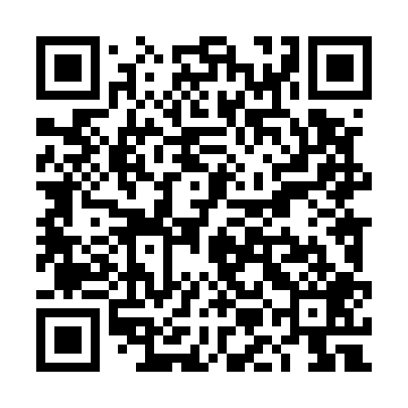 QR code for TML509