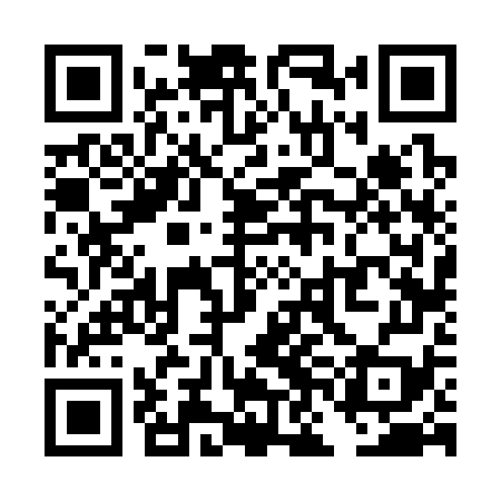QR code for TNF379
