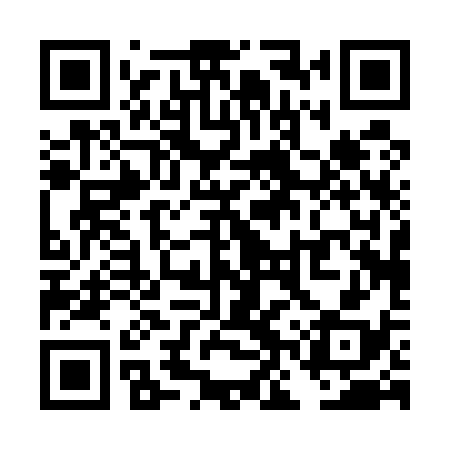 QR code for TNP538