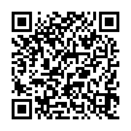 QR code for TOP913