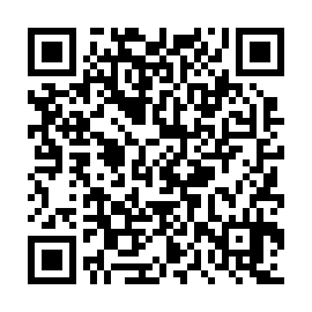 QR code for TPT234