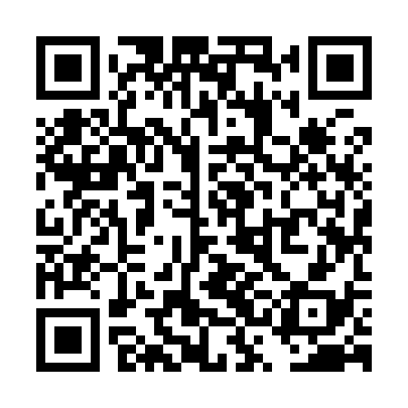 QR code for TSI938