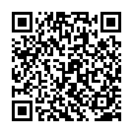 QR code for TSM380