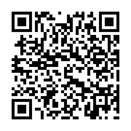 QR code for TZJ333