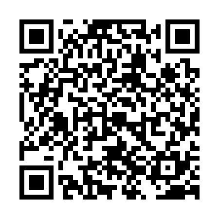 QR code for TZM335