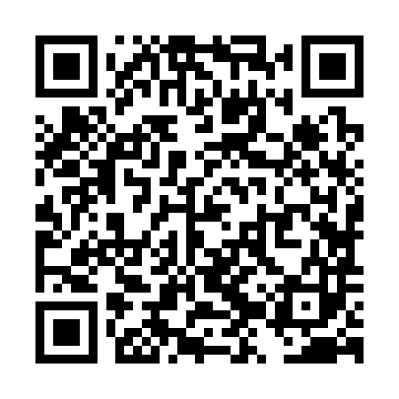 QR code for TZZ383