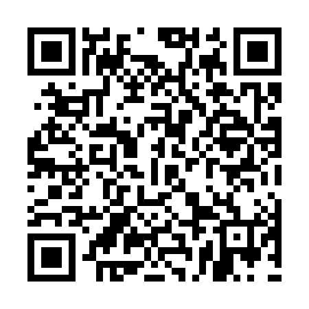 QR code for UBL384