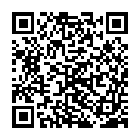 QR code for UDI153