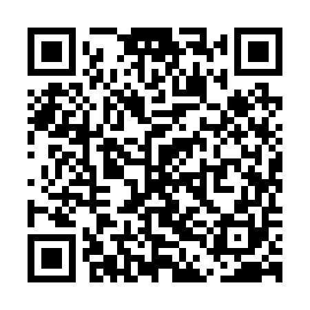 QR code for UDI250