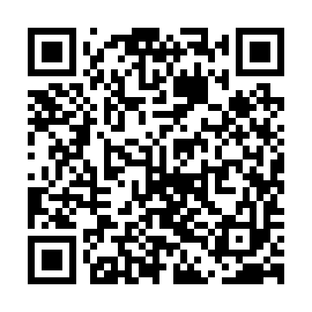 QR code for UDI293