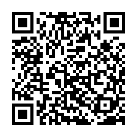 QR code for UDI969