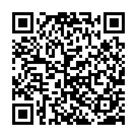 QR code for UDL300