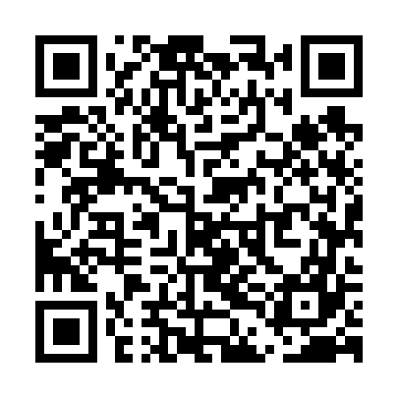 QR code for UDM667