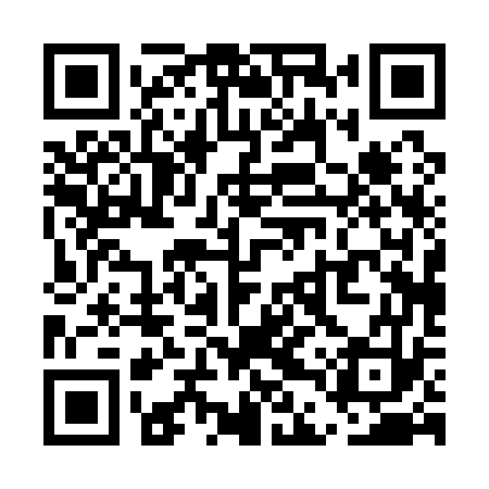 QR code for UDP173