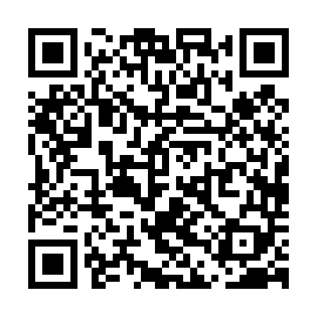 QR code for UDP449