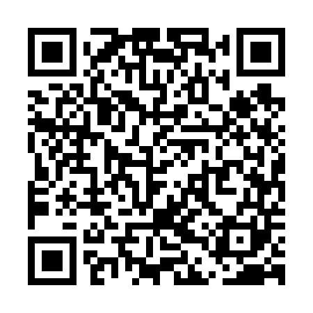 QR code for UDU641