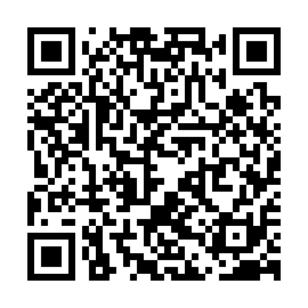 QR code for UDW311