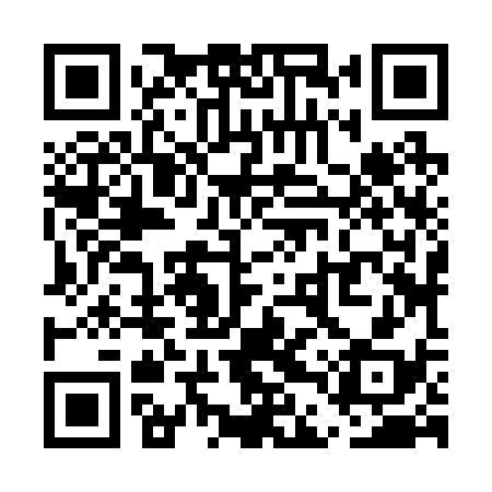 QR code for UDZ238