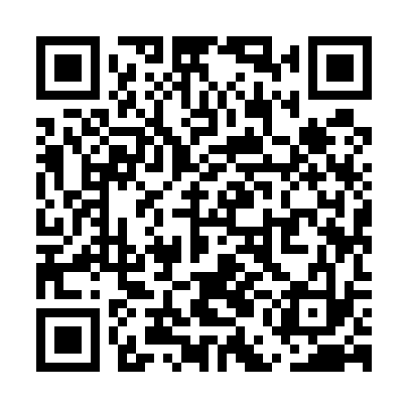 QR code for UEI533