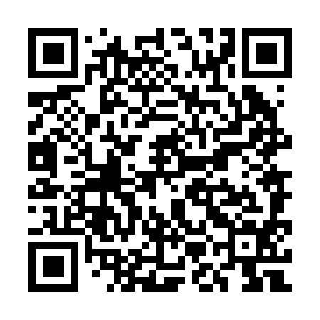 QR code for UMN294