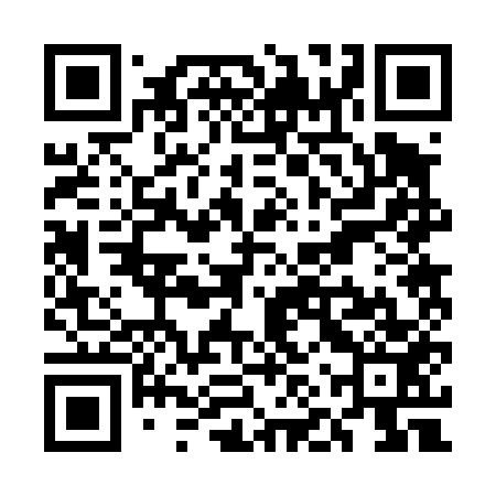 QR code for UNR453