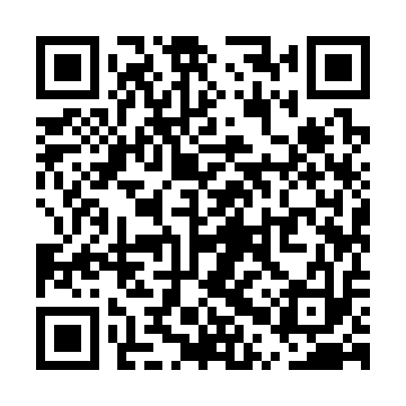 QR code for UPY313
