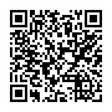 QR code for USB295