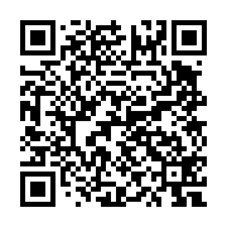 QR code for UYS419