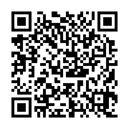 QR code for VAA335