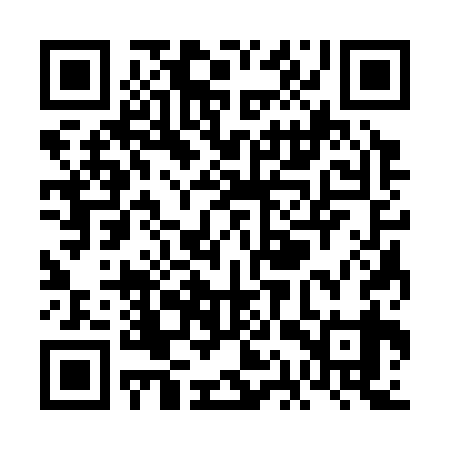 QR code for VAS339