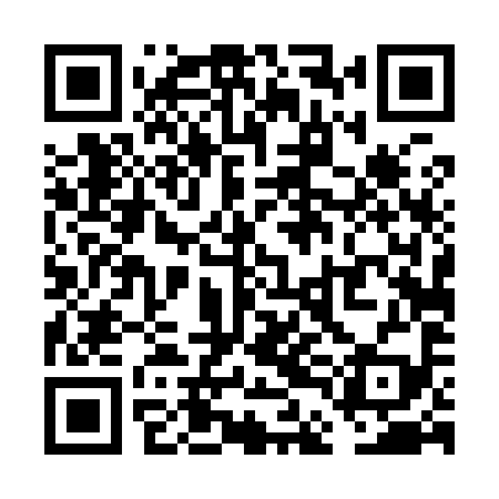 QR code for VDD999
