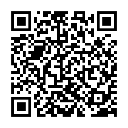 QR code for VFS919