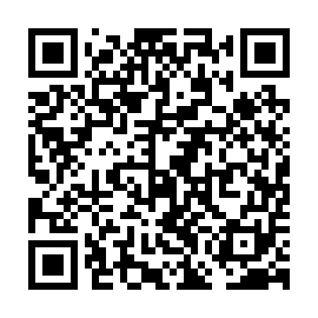 QR code for VGA251