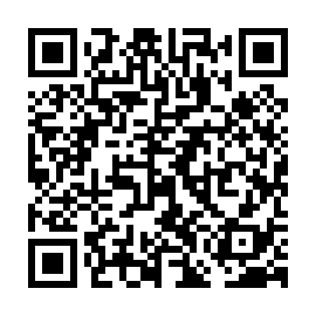 QR code for VGI038