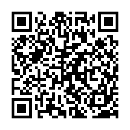 QR code for VGI317