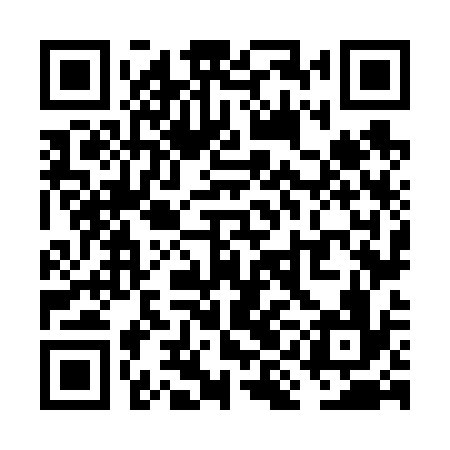 QR code for VIN636