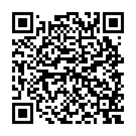 QR code for VIP384