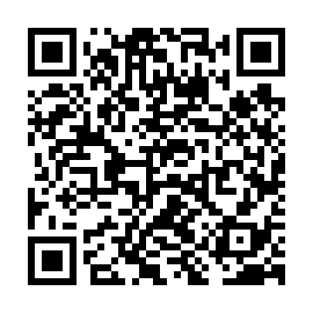 QR code for VIV638