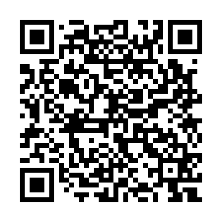 QR code for VJS161