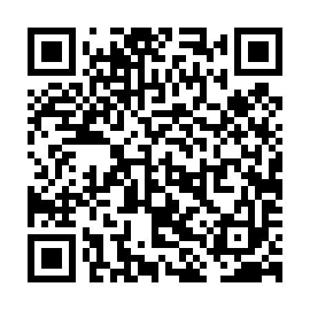 QR code for VLT493