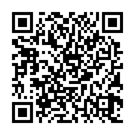 QR code for VNE328
