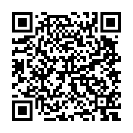 QR code for VNJ411