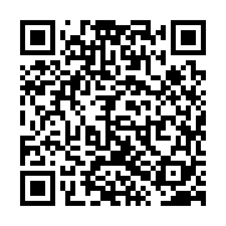 QR code for VPI369