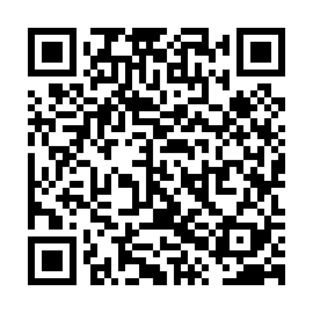 QR code for VPK029